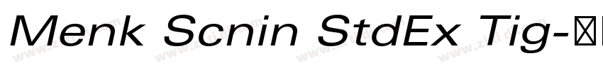 Menk Scnin StdEx Tig字体转换